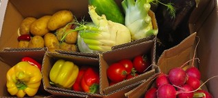 Online-Lebensmittelhandel: Wer hat im Internet das beste Obst?