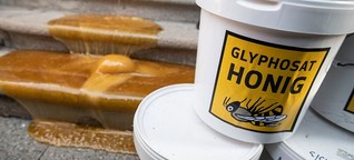 Imker zieht wegen vier Tonnen verunreinigten Honigs vor Gericht
