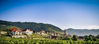 Wege zum Wein: Traumhafte Touren in Österreich