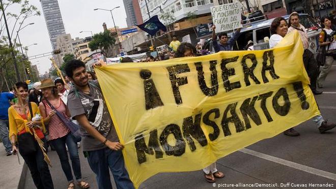 Bayer contra México: ¿glifosato o libre comercio?