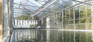 Dieses norddeutsche Rechenzentrum wärmt eine Algenfarm - IE9