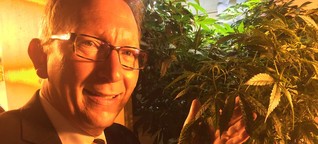 Cannabis: CDU-Gesundheitspolitiker will Hanf freigeben