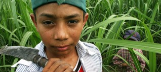 Kinderarbeit weltweit - Fragen und Antworten