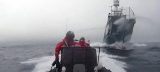 Auf hoher See - die Waffen der Walfang-Gegner "Sea Shepherd"