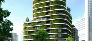 Grüne Fassaden : Mehr Grün in der Stadt / gut zu wissen , BR Fernsehen