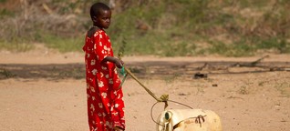 Dürre in Kenia: Brunnen trocknen aus, das Vieh stirbt