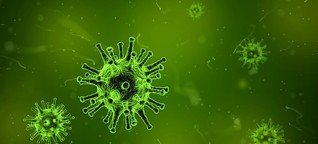 Bakterien und Viren: Können Krankheitserreger selbst krank werden? | BR.de