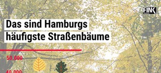 Insta-Grafik zu Bäumen in Hamburg