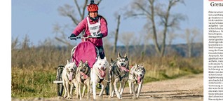 Schlittenhunde aus dem Fichtelgebirge holen sich Europameister-Titel