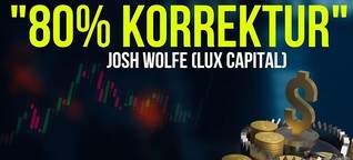 Josh Wolfe (Lux Capital) - 80% Korrektur möglich