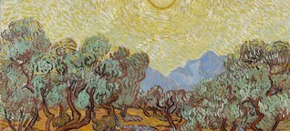 Van Gogh's Olive Groves reunited in Amsterdam