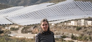 Erneuerbare Energien in Südspanien: Kampf gegen Solarpanels