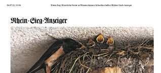 Kampf für die Schwalben | Rhein-Sieg-Anzeiger