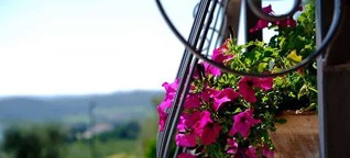 Terrasse und Balkon gestalten Pflanzen Kübel Design