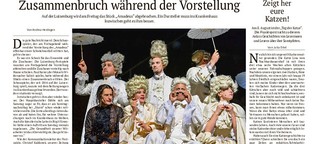 Darsteller erleidet Schwächeanfall: Luisenburg bricht "Amadeus" ab