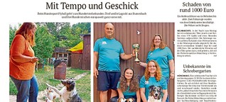 Erfolg auf vier Pfoten: Stammbacher Terrier sind Flyball-Europameister