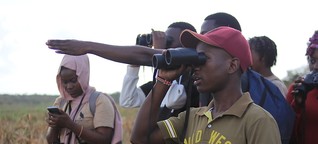 Klimawandel und bedrohte Arten: Auf Vogelbeobachtungstour in Kenia 