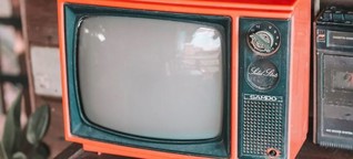 Autoritäre Authentizität - Reality-TV in der Gegenwart