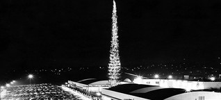 До сих пор с 1950 года не побит рекорд самой высокой рождественской елки в мире