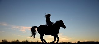 Pferde als Schlüssel zur eigenen Gefühlswelt