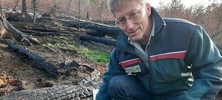 Nach dem Brand - Welche Lehren im Nationalpark Sächsische Schweiz gezogen werden