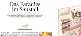 Süddeutsche Zeitung: Das Paradies im Saustall