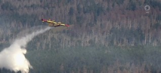ARD-Nachtmagazin: Italienische Löschflugzeuge sollen Brände am Brocken im Harz stoppen
