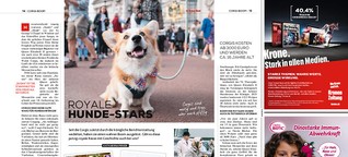 Royale Hunde-Stars