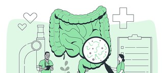 Das Mikrobiom im Darm (Abo)