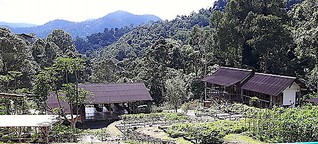 Ein Biogarten in Malaysia