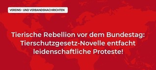 Tierische Rebellion vor dem Bundestag: Tierschutzgesetz-Novelle entfacht leidenschaftliche Proteste!