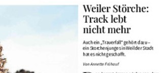Weiler Störche: Track lebt nicht mehr