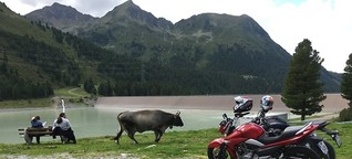 Erkundungen in Tirol