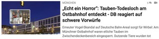 Tauben-Todesloch am Ostbahnhof entdeckt - DB reagiert auf schwere Vorwürfe