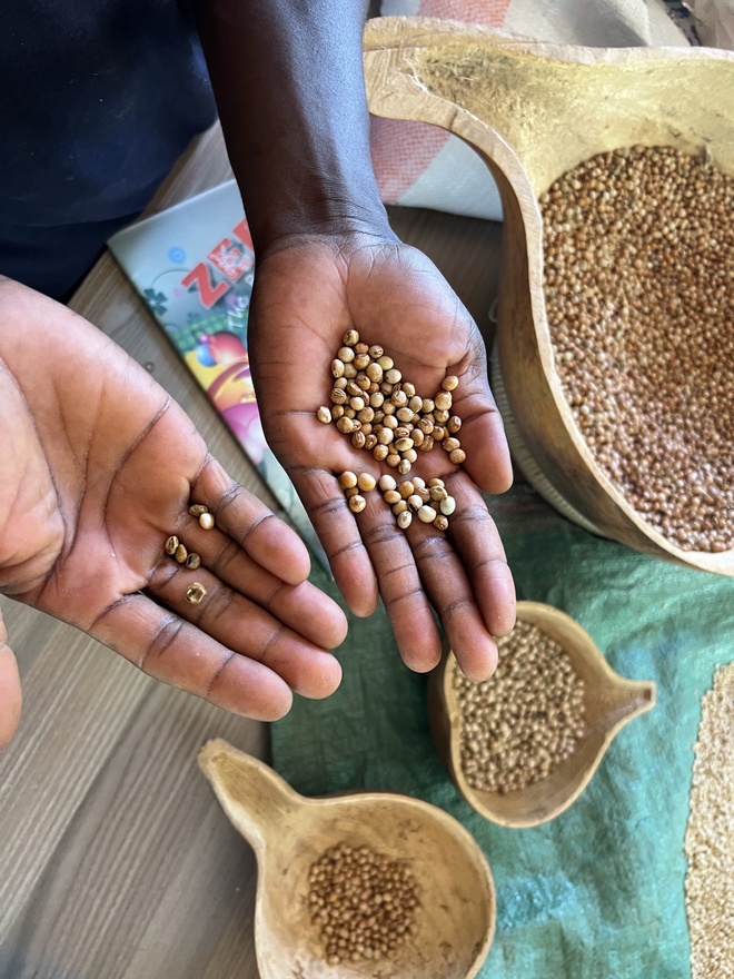 Die Erntemacher. Wie die Ernährung in Afrika gesichert werden kann
