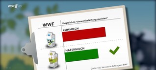WDR 18.10.22 Haferdrink selbst machen - Haferdrink Pioniere in NRW