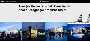 Time for the facts - What do we know about Cologne four months later?