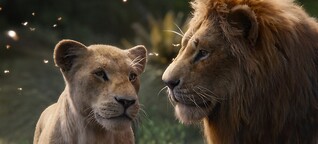 Löwen sind keine Könige