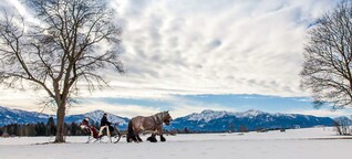Oberbayern: Auf den Spuren von Franz Marc und seinen blauen Pferden