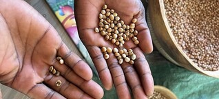 Die Erntemacher. Wie die Ernährung in Afrika gesichert werden kann