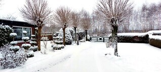 ✿ Garten einer Rosenfreundin: verblüffende Schönheit im Winter