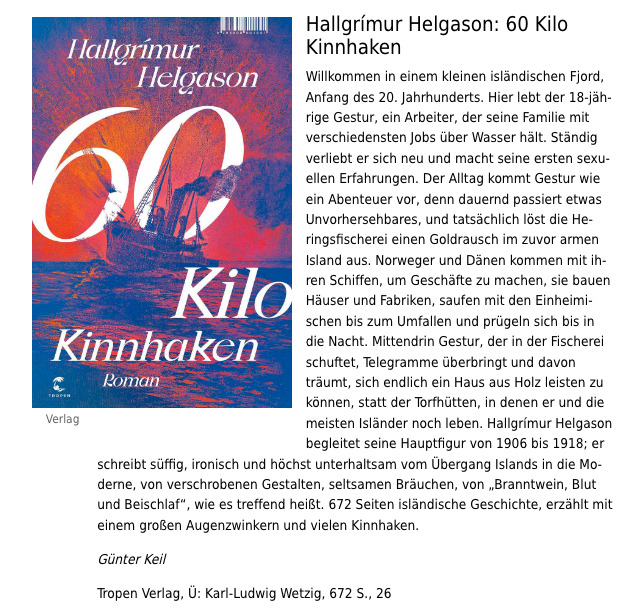 Rezension von Hallgrimur Helgasons Roman "60 Kilo Kinnhaken"