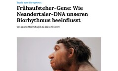 Wie Neandertaler-DNA unseren Biorhythmus beeinflussen kann