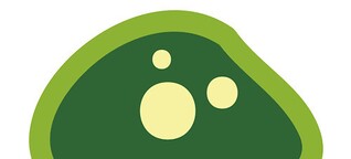 Chloroplast Games: Vielseitige Spieleentwicklung aus Castelldefels